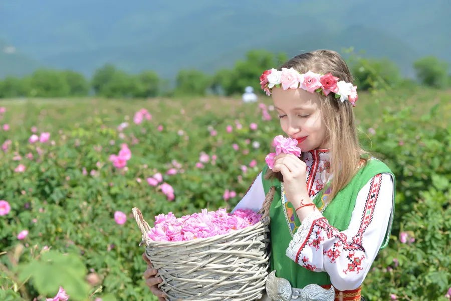 Момиче в народна носия с кошница набран розов цвят